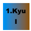 1.Kyu I