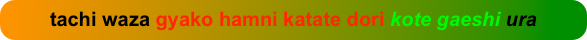 tachi waza gyako hamni katate dori kote gaeshi ura