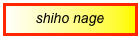 shiho nage