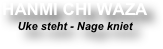 HANMI CHI WAZA
Uke steht - Nage kniet