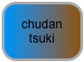 chudan tsuki