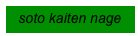 soto kaiten nage