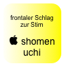
frontaler Schlag zur Stirn

 shomen uchi