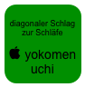 
diagonaler Schlag zur Schläfe

 yokomen
uchi