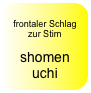 
frontaler Schlag zur Stirn

shomen uchi