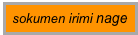 sokumen irimi nage