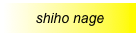 shiho nage