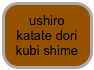 ushiro katate dori kubi shime