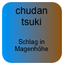 chudan tsuki

Schlag in Magenhöhe