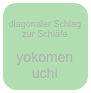 
diagonaler Schlag zur Schläfe

yokomen
uchi