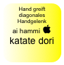 Hand greift diagonales Handgelenk
ai hammi  katate dori