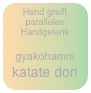 Hand greift paralleles Handgelenk

gyakohamni katate dori 