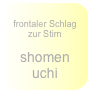 
frontaler Schlag zur Stirn

shomen uchi