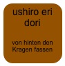 ushiro eri dori

von hinten den Kragen fassen