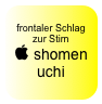 
frontaler Schlag zur Stirn
 shomen uchi