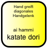 Hand greift diagonales Handgelenk

ai hammi katate dori