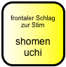 
frontaler Schlag zur Stirn

shomen uchi