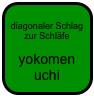 
diagonaler Schlag zur Schläfe

yokomen
uchi