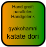 Hand greift paralleles Handgelenk

gyakohamni katate dori 
