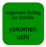 
diagonaler Schlag zur Schläfe

yokomen
uchi