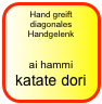 Hand greift diagonales Handgelenk

ai hammi katate dori