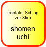 
frontaler Schlag zur Stirn

shomen uchi