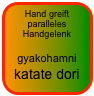 Hand greift paralleles Handgelenk

gyakohamni katate dori 