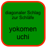 
diagonaler Schlag zur Schläfe

yokomen
uchi