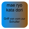 mae ryo kata dori

Griff von vorn zur Schulter