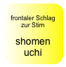 
frontaler Schlag zur Stirn

shomen uchi