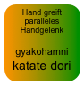 Hand greift paralleles Handgelenk

gyakohamni katate dori 