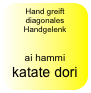 Hand greift diagonales Handgelenk

ai hammi katate dori