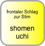 
frontaler Schlag zur Stirn

shomen uchi
