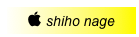  shiho nage