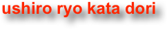 ushiro ryo kata dori