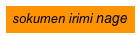 sokumen irimi nage