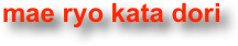 mae ryo kata dori