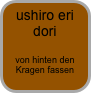 ushiro eri dori

von hinten den Kragen fassen
