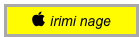  irimi nage