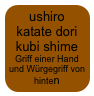 ushiro katate dori kubi shime
Griff einer Hand und Würgegriff von hinten