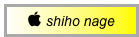  shiho nage