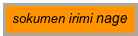 sokumen irimi nage