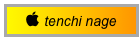  tenchi nage