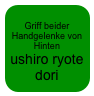 
Griff beider Handgelenke von Hinten
ushiro ryote dori