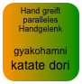 Hand greift paralleles Handgelenk

gyakohamni katate dori 