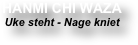 HANMI CHI WAZA
Uke steht - Nage kniet