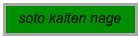soto kaiten nage